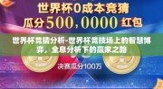 世界杯竞猜分析-世界杯竞技场上的智慧博弈，全息分析下的赢家之路