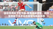 微信世界杯下注平台-聚焦足球激情，微信世界杯下注平台的智慧与挑战并存