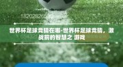 世界杯足球竞猜在哪-世界杯足球竞猜，激战前的智慧之 游戏