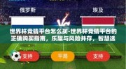 世界杯竞猜平台怎么买-世界杯竞猜平台的正确购买指南，乐趣与风险并存，智慧选择为先