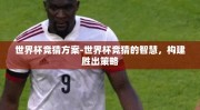 世界杯竞猜方案-世界杯竞猜的智慧，构建胜出策略