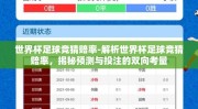 世界杯足球竞猜赔率-解析世界杯足球竞猜赔率，揭秘预测与投注的双向考量