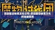 灵动星空体育文化公司-灵动星空体育文化的璀璨图景