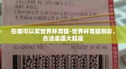 在哪可以买世界杯竞猜-世界杯竞猜购彩，合法渠道大起底