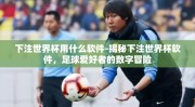 下注世界杯用什么软件-揭秘下注世界杯软件，足球爱好者的数字冒险