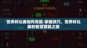世界杯比赛如何竞猜-掌握技巧，世界杯比赛的智慧竞猜之路
