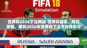 世界杯2026下注网站-世界杯盛宴，尽在掌握，解析2026年世界杯下注平台特色与风险
