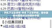 手机下注世界杯-手机下注世界杯，掌中激情与理性投注的微妙平衡