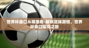 世界杯盘口从哪里看-解锁足球激情，世界杯盘口探究之旅