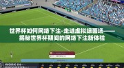 世界杯如何网络下注-走进虚拟绿茵场——揭秘世界杯期间的网络下注新体验