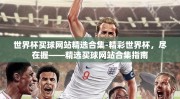 世界杯买球网站精选合集-精彩世界杯，尽在握——精选买球网站合集指南