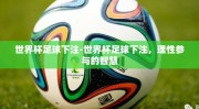 世界杯足球下注-世界杯足球下注，理性参与的智慧