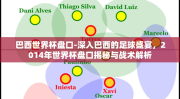 巴西世界杯盘口-深入巴西的足球盛宴，2014年世界杯盘口揭秘与战术解析