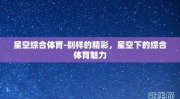 星空综合体育-别样的精彩，星空下的综合体育魅力