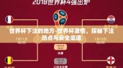 世界杯下注的地方-世界杯激情，探秘下注热点与安全渠道