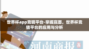 世界杯app竞猜平台-掌握赢面，世界杯竞猜平台的应用与分析