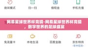 网易星球世界杯竞猜-网易星球世界杯竞猜，数字世界的足球盛宴
