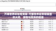 万博世界杯冠军竞猜-万博世界杯夺冠猜想的火花，激情与预测的碰撞