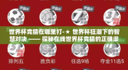 世界杯竞猜在哪里打-★ 世界杯狂潮下的智慧对决 —— 探秘在线世界杯竞猜的正确渠道