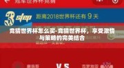 竞猜世界杯怎么买-竞猜世界杯，享受激情与策略的完美结合