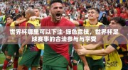 世界杯哪里可以下注-绿色竞技，世界杯足球赛事的合法参与与享受