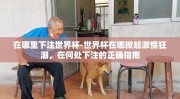 在哪里下注世界杯-世界杯在哪掀起激情狂潮，在何处下注的正确指南