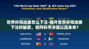 世界杯预选赛怎么下注-揭开世界杯预选赛下注的秘密，如何科学决策以赢未来？