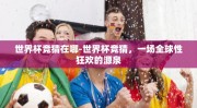 世界杯竞猜在哪-世界杯竞猜，一场全球性狂欢的源泉