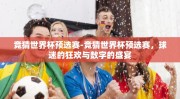 竞猜世界杯预选赛-竞猜世界杯预选赛，球迷的狂欢与数字的盛宴