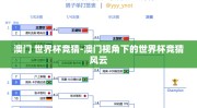 澳门 世界杯竞猜-澳门视角下的世界杯竞猜风云