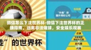 微信怎么下注世界杯-微信下注世界杯的正确指南，远离非法赌球，安全娱乐观赛