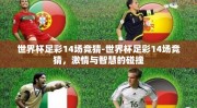 世界杯足彩14场竞猜-世界杯足彩14场竞猜，激情与智慧的碰撞