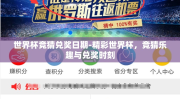 世界杯竞猜兑奖日期-精彩世界杯，竞猜乐趣与兑奖时刻