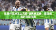 世界杯足球怎么竞猜-世界杯足球，深度远见的竞猜指南