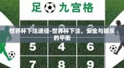 世界杯下注途径-世界杯下注，安全与娱乐的平衡
