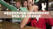 微信竞猜世界杯在哪-探索微信竞猜世界杯新风尚，指尖上的足球狂欢