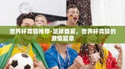 世界杯竞猜推荐-足球盛宴，世界杯竞猜的激情篇章
