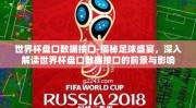 世界杯盘口数据接口-揭秘足球盛宴，深入解读世界杯盘口数据接口的前景与影响