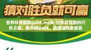 世界杯竞猜碱ga68,me衷-世界杯竞猜的巧妙之道，解开碱ga68，迎接谋略的盛宴