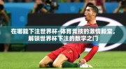 在哪能下注世界杯-体育竞技的激情殿堂，解锁世界杯下注的数字之门
