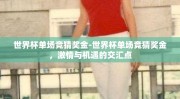 世界杯单场竞猜奖金-世界杯单场竞猜奖金，激情与机遇的交汇点