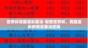 世界杯竞猜足彩算法-智胜世界杯，竞猜足彩的背后算法逻辑