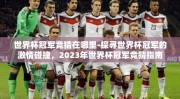 世界杯冠军竞猜在哪里-探寻世界杯冠军的激情碰撞，2023年世界杯冠军竞猜指南