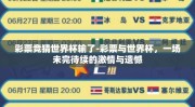 彩票竞猜世界杯输了-彩票与世界杯，一场未完待续的激情与遗憾