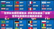 世界杯竞猜在哪里买-享受足球盛宴，探索世界杯竞猜的正确购买渠道