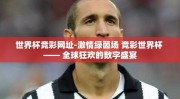 世界杯竞彩网址-激情绿茵场 竞彩世界杯 —— 全球狂欢的数字盛宴