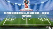 世界杯竞猜中奖图片-世界杯竞猜，中奖喜悦的瞬间