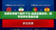世界杯用哪个软件下注-选择正确软件，智享世界杯竞猜乐趣
