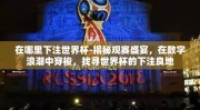 在哪里下注世界杯-揭秘观赛盛宴，在数字浪潮中穿梭，找寻世界杯的下注良地
