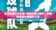 世界杯盘口怎么看-世界杯盘口解析，洞悉赛场胜负的微妙之变
